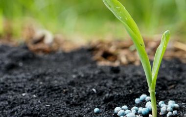 Применение микроудобрений Применение микроудобрений