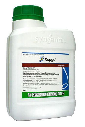 Фунгицид Хорус 75 ВГ, 1кг (Syngenta)