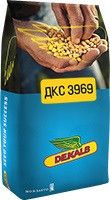 Семена кукурузы ДКС 3969 ФАО 330