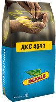 Насіння кукурудзи ДКС 4541 ФАО 380 Насіння кукурудзи ДКС 4541 ФАО 380
