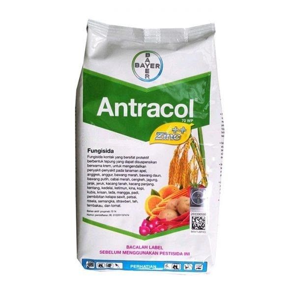 Фунгицид Антракол, 70 WP, ЗП, 10кг (Bayer)