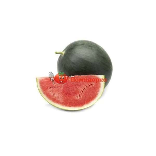 Арбуз БАРОНЕССА F1 | BARONESA F1 Rijk Zwaan, Фасовка - 100 семян