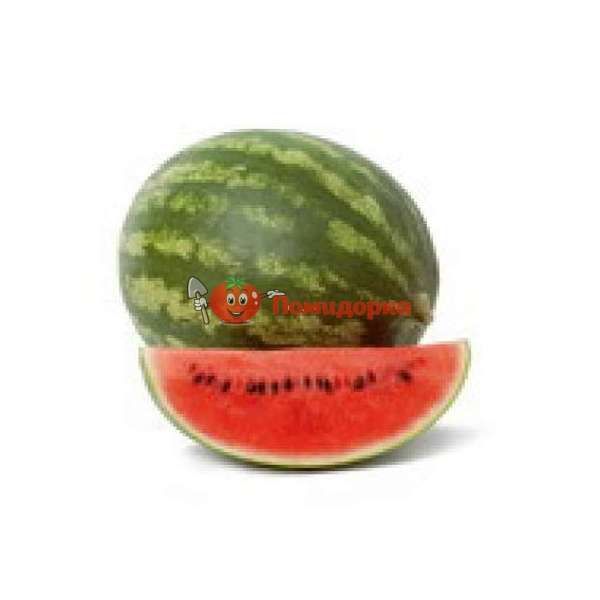 Арбуз КОЛУМБИЯ F1 | COLUMBIA F1 Rijk Zwaan, Фасовка - 100 семян