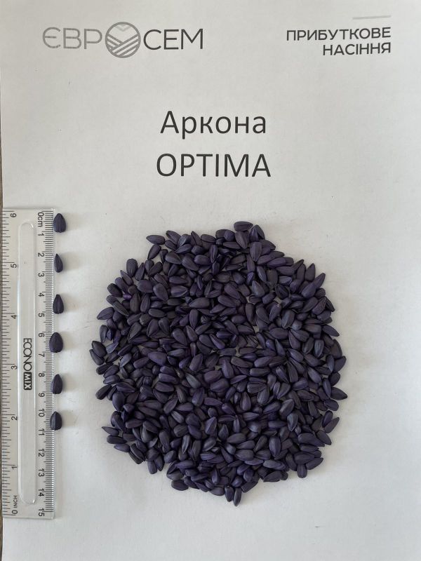 Семена подсолнечника Аркона Сумо (NS VLSP)