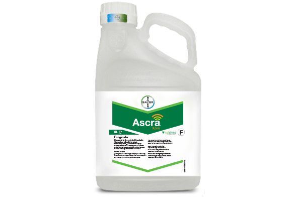Фунгицид Аскра Хпро 260 ЕС,КЕ, 5 л (Bayer)