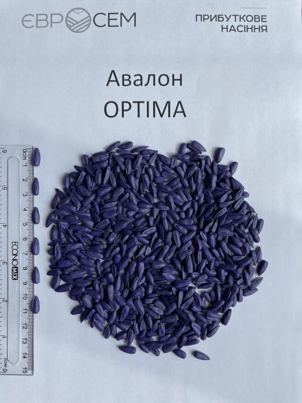 Семена подсолнечника АВАЛОН (NS 6046) Классический - премиум от 9 кг  (Евросем)