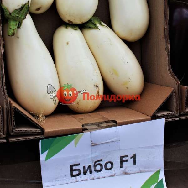 Баклажан БИБО F1| BIBO F1 Seminis, Фасовка - 1000 семян Баклажан БИБО F1| BIBO F1 Seminis, Фасовка - 1000 семян