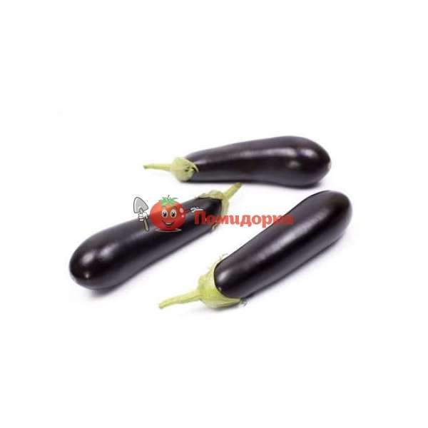 Баклажан БРИДЖИТ F1 | BRIGITTE F1 Rijk Zwaan, Фасовка - 1000 семян Баклажан БРИДЖИТ F1 | BRIGITTE F1 Rijk Zwaan, Фасовка - 1000 семян