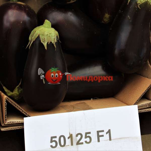 Баклажан ДЖОКЕР F1 | DJOKER F1 Sеminis, Фасовка - 500 семян