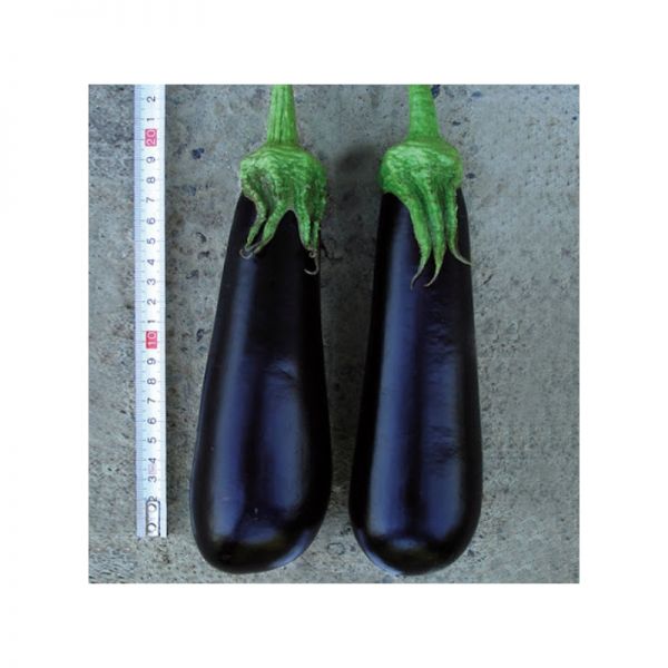 Баклажан Фабина F1 | Fabina F1 Clause, Фасовка - 5 гр Баклажан Фабина F1 | Fabina F1 Clause, Фасовка - 5 гр