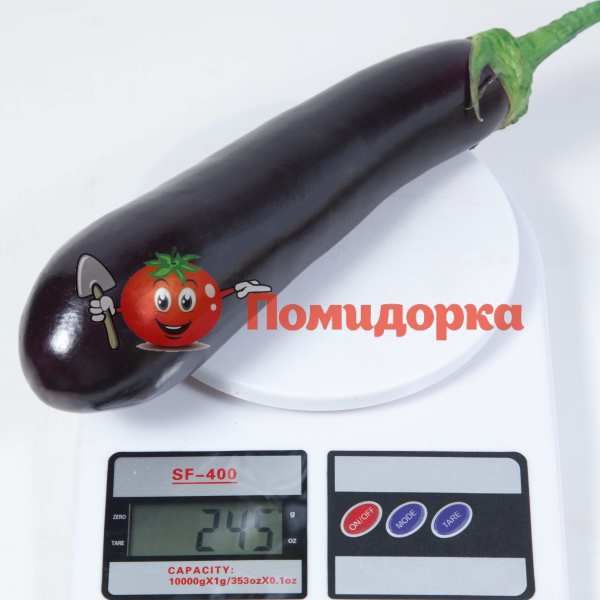 Баклажан KS 4804 F1 | KS 4804 F1 Kitano, Фасовка - 250 семян