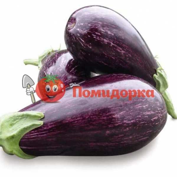 Баклажан ЛЕЙРЕ F1 | LEIRE F1 Rijk Zwaan, Фасовка - 100 семян