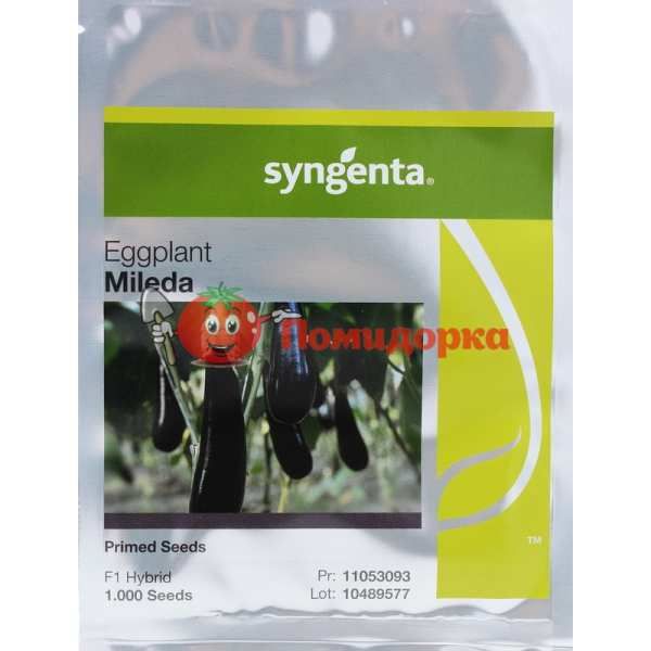 Баклажан МИЛЕДА F1 | MILEDA F1 Syngenta, Фасовка - 1000 семян Баклажан МИЛЕДА F1 | MILEDA F1 Syngenta, Фасовка - 1000 семян