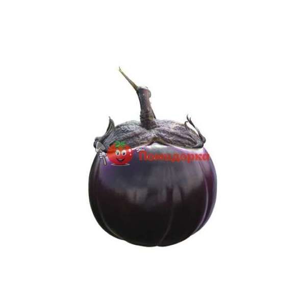 Баклажан САБЕЛЛЕ F1 | SABELLE F1 Rijk Zwaan, Фасовка - 1000 семян Баклажан САБЕЛЛЕ F1 | SABELLE F1 Rijk Zwaan, Фасовка - 1000 семян