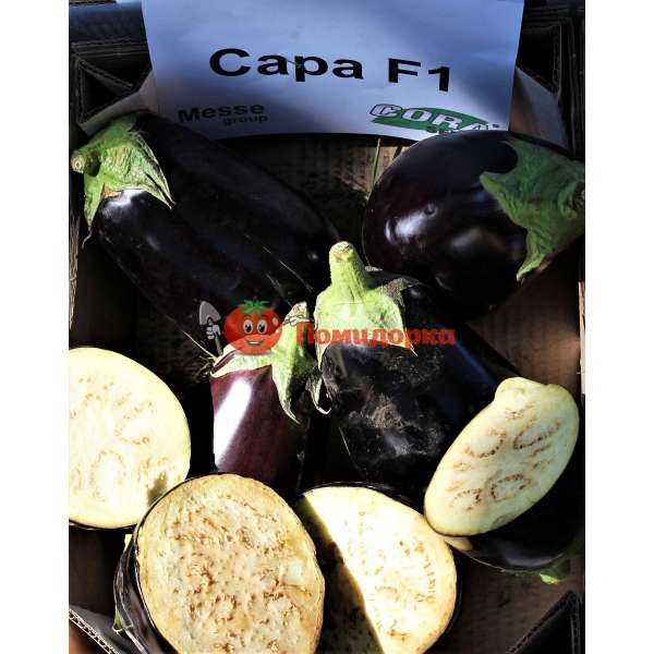 Баклажан САРА F1 | SARA F1 Sеminis, Фасовка - 500 семян