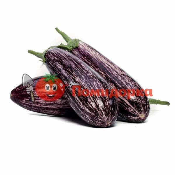 Баклажан ЗЕБРИНО F1 | ZEBRINO F1 Yuksel, Фасовка - 500 семян