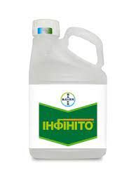 Фунгицид Инфинито, 687,5 SC, КС, 5 л (Bayer)