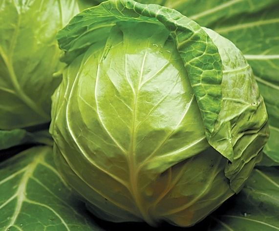 Капуста білоголова ультрарання Джетодор F1, 2500 шт. насіння, 46-48 днів (Syngenta)