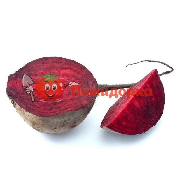 Буряк ШОТ ТОП F1 | SHOT TOP F1 Hazera, Фасовка - 1 кг