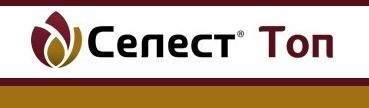 Протравитель Селест Топ 312.5 т.к.с., 5 л (Syngenta)