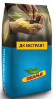Семена озимого рапса ДК ЭКСТРАКТ