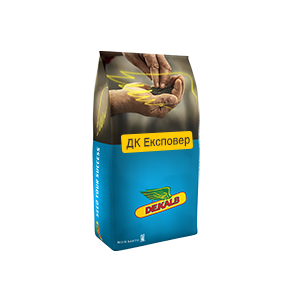 Семена озимого рапса DK Expower (ДК Эксповер)