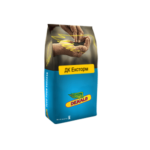 Семена озимого рапса DK EXSTORM (ДК ЭКСТОРМ)
