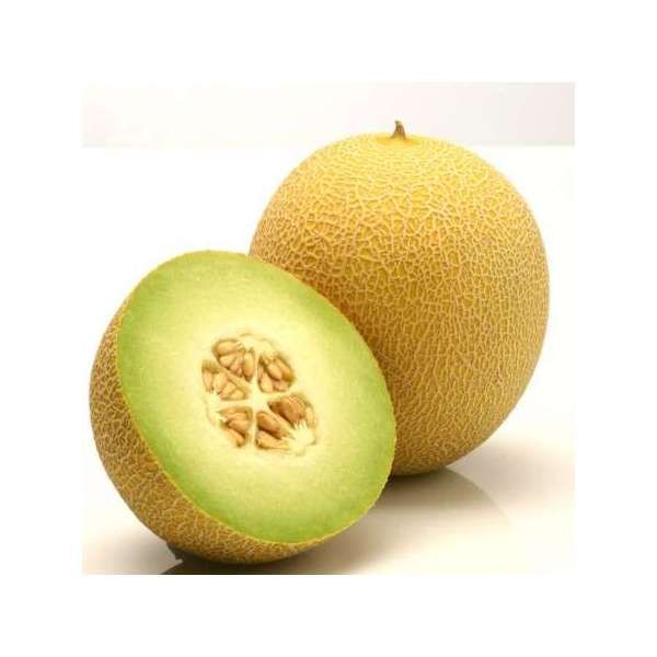 Дыня ДЖУКАР F1 | DJUCAR F1 Rijk Zwaan, Фасовка - 100 семян