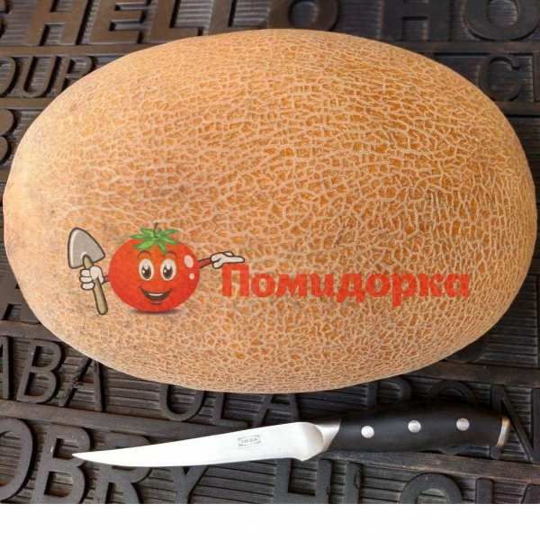Дыня ЛОКУМ F1 | LOCUM F1 Yuksel, Фасовка - 1000 семян Дыня ЛОКУМ F1 | LOCUM F1 Yuksel, Фасовка - 1000 семян