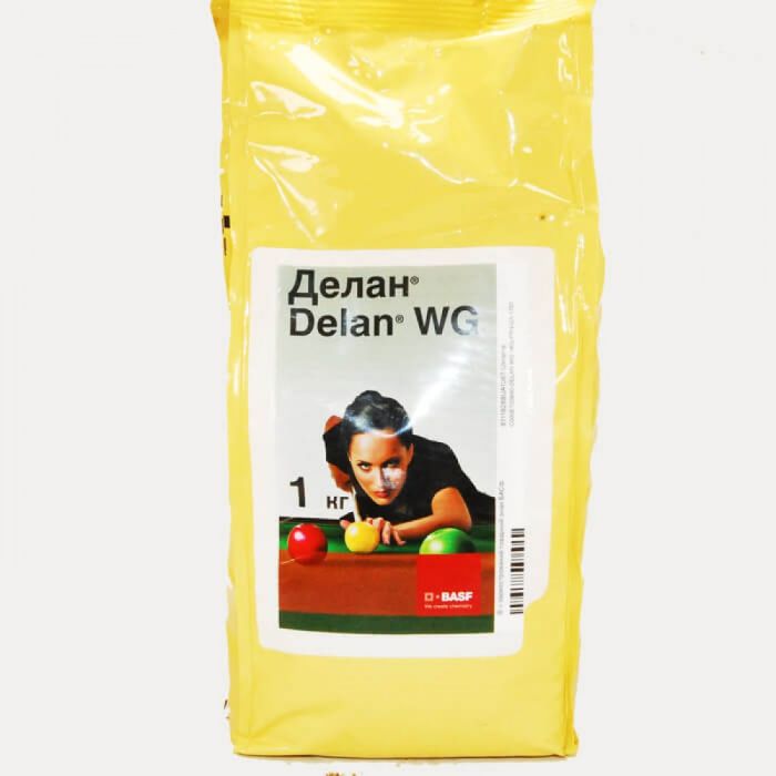 Фунгицид Делан, ВГ, 1 кг (BASF)