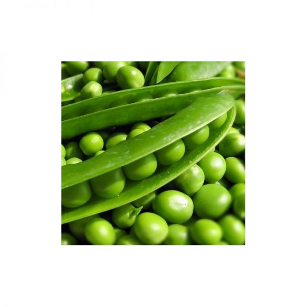 Горох СОМЕРВУД | SOMERWOOD Syngenta, Фасовка - 100 000 семян Горох СОМЕРВУД | SOMERWOOD Syngenta, Фасовка - 100 000 семян