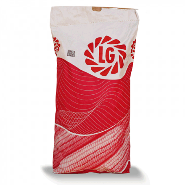 Насіння кукурудзи ЛГ 3232 (Limagrain) ФАО - 230 Насіння кукурудзи ЛГ 3232 (Limagrain) ФАО - 230