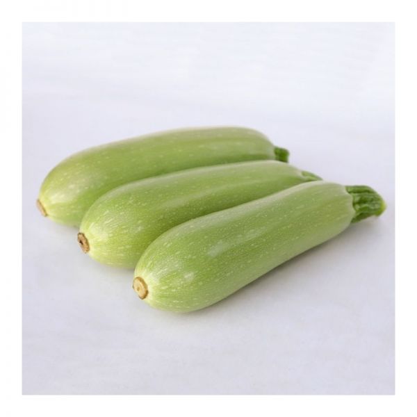 Кабачок Мостра F1 | Mostra F1 Clause, Фасовка - 500 семян