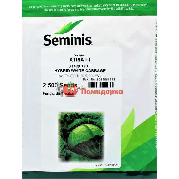 Капуста АТРИЯ F1| ATRIAY F1 Seminis, Фасовка - 2500 семян