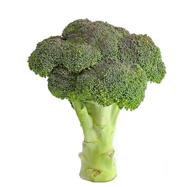 Капуста брокколи Батори F1, 2500 шт. семян, 70-75 дней (Syngenta)