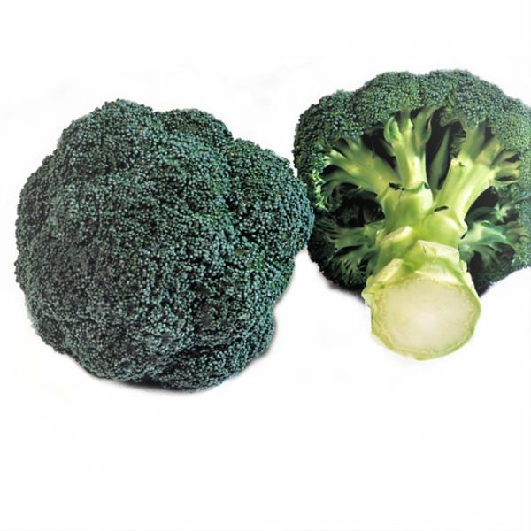 Капуста брокколи Монако F1, 2500 шт. семян, 75-80 дней (Syngenta)