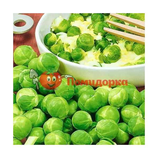 Капуста брюсельская ДИАБЛО F1 | DIABLO F1 Bejo, Фасовка - 2500 семян