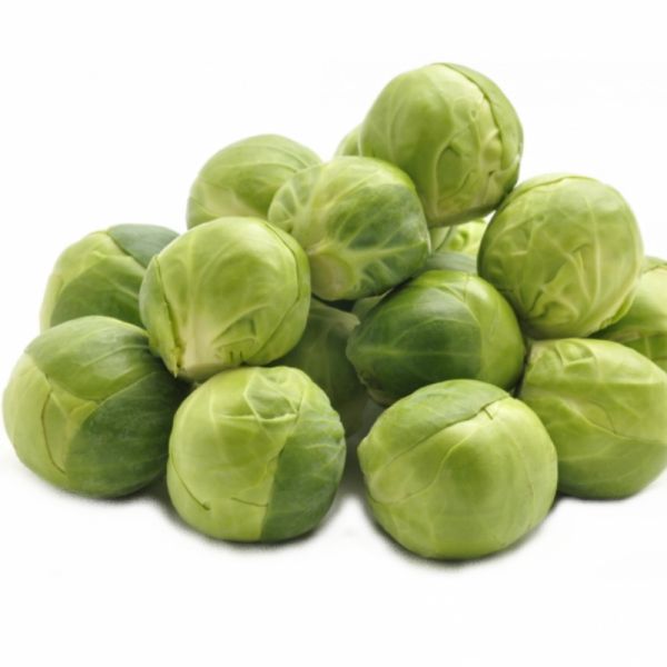 Капуста брюсельська Абакус F1, 2500 шт. насіння, 110-115 днів (Syngenta)