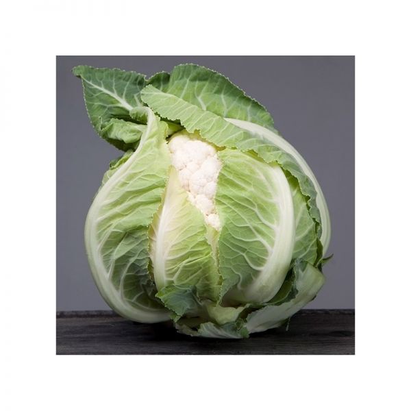 Капуста цветная Ардент F1 | Ardent F1 Clause, Фасовка - 2500 семян