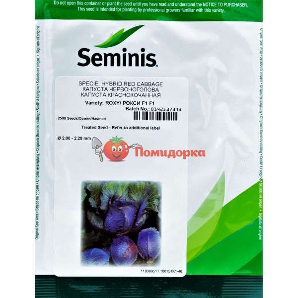 Капуста РОКСИ F1| ROXSI F1 Seminis, Фасовка - 2500 семян