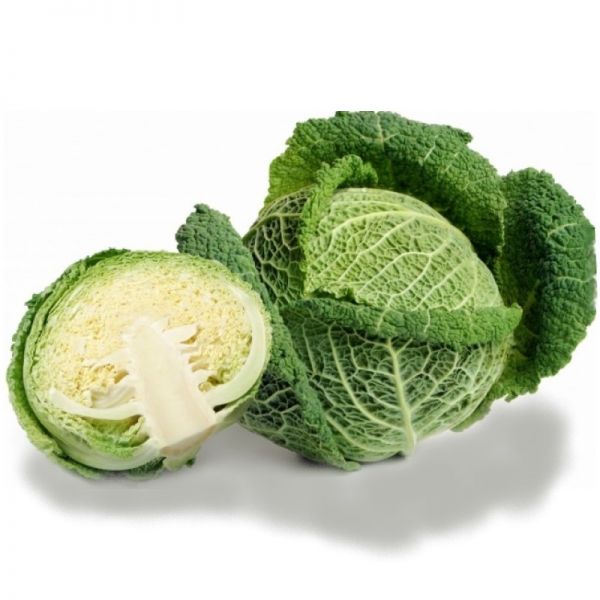 Капуста савойская ВИРАТОБА F1 | VIRATOBA F1 Syngenta, Фасовка - 2500 семян