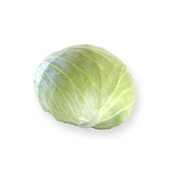 Капуста СЕПТИМА F1 | SEPTIMA F1 Rijk Zwaan (улучшенные семена), Фасовка - 2500 семян