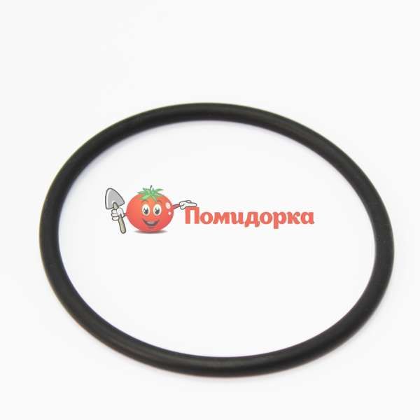 КОЛЬЦО на насос Орион - 6,Орион - 9 под горловину 8,5 см