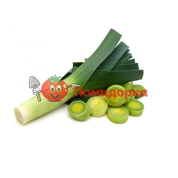 Лук порей ПОРИЛЮКС | PORILUKS Hazera, Фасовка - 35 г.