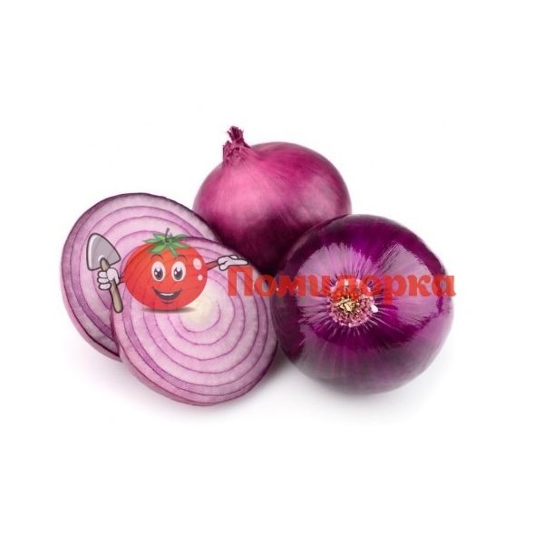 Лук РЕД МЕХ F1 | RED MEX F1 Hazera, Фасовка - 1 кг