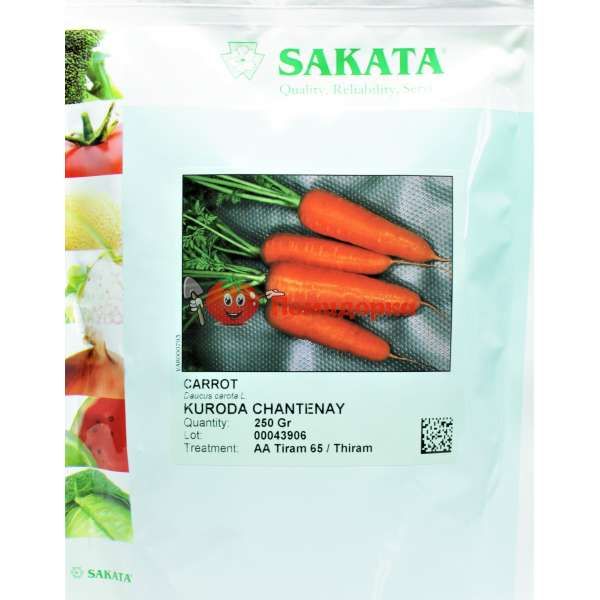 Морковь КУРОДА Sakata 250 г, Фасовка - 250 гр
