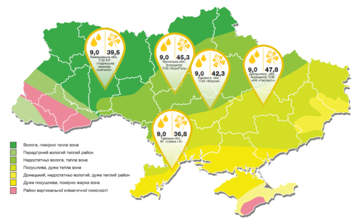Насіння озимого ріпаку НК Технік (NK TECHNIC)