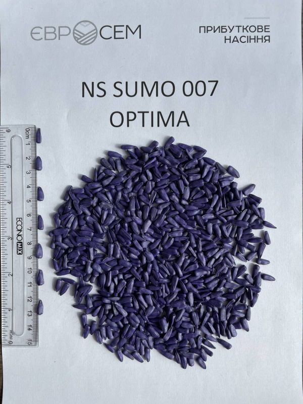 Семена подсолнечника НС Сумо 007 (NS 6059) под Гранстар - оптимум 7,5-8 кг (Евросем)