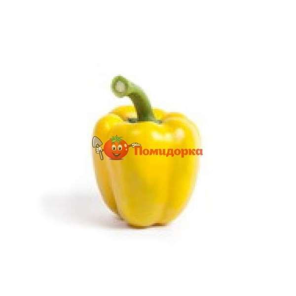 Перец БАЧАТА F1 | BACHATA F1 Rijk Zwaan, Фасовка - 100 семян