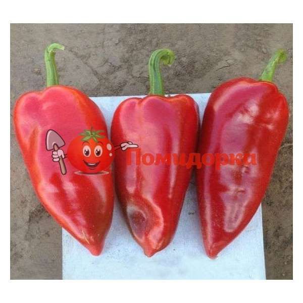 Перец ДЖИПСИ F1 |GYPSY F1 Seminis, Фасовка - 500 семян